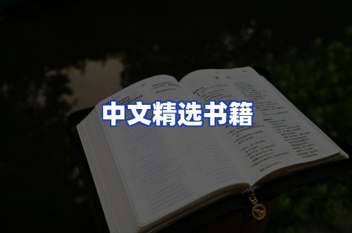 中文精选书籍